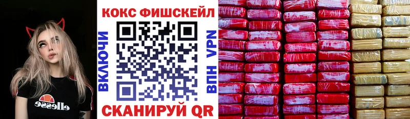 Cocaine FishScale  Купить где  Александровск-Сахалинский 