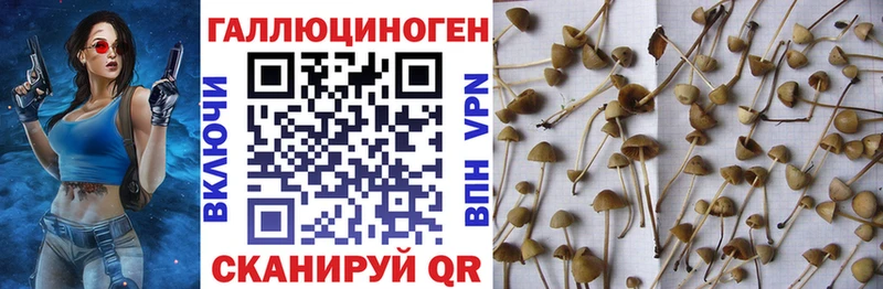 Галлюциногенные грибы мухоморы  Купить  Александровск-Сахалинский 