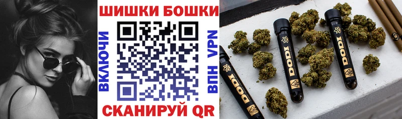 Купить где  Александровск-Сахалинский  Бошки Шишки Amnesia 